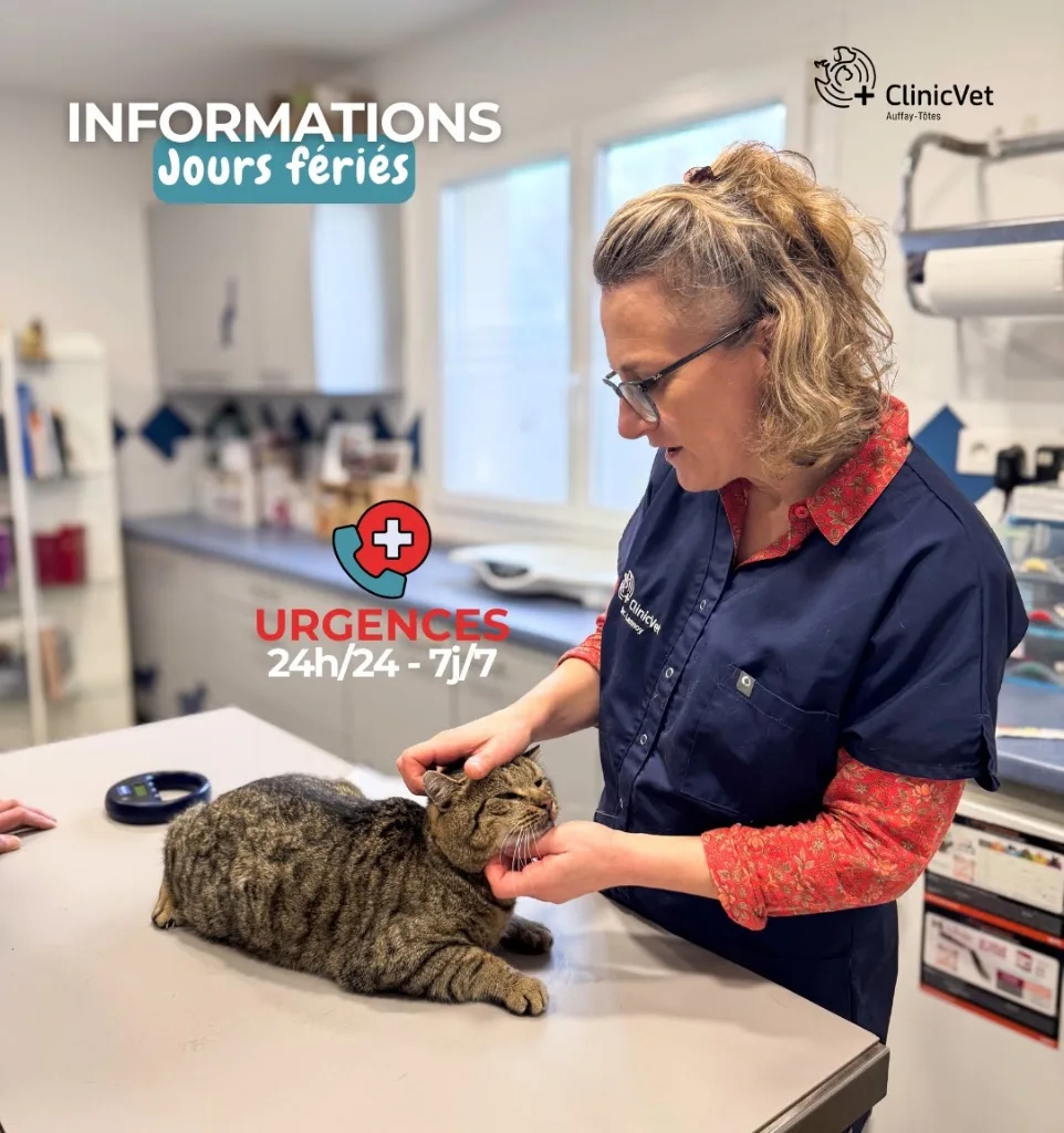 ClinicVet vétérinaire Auffay - photo 1