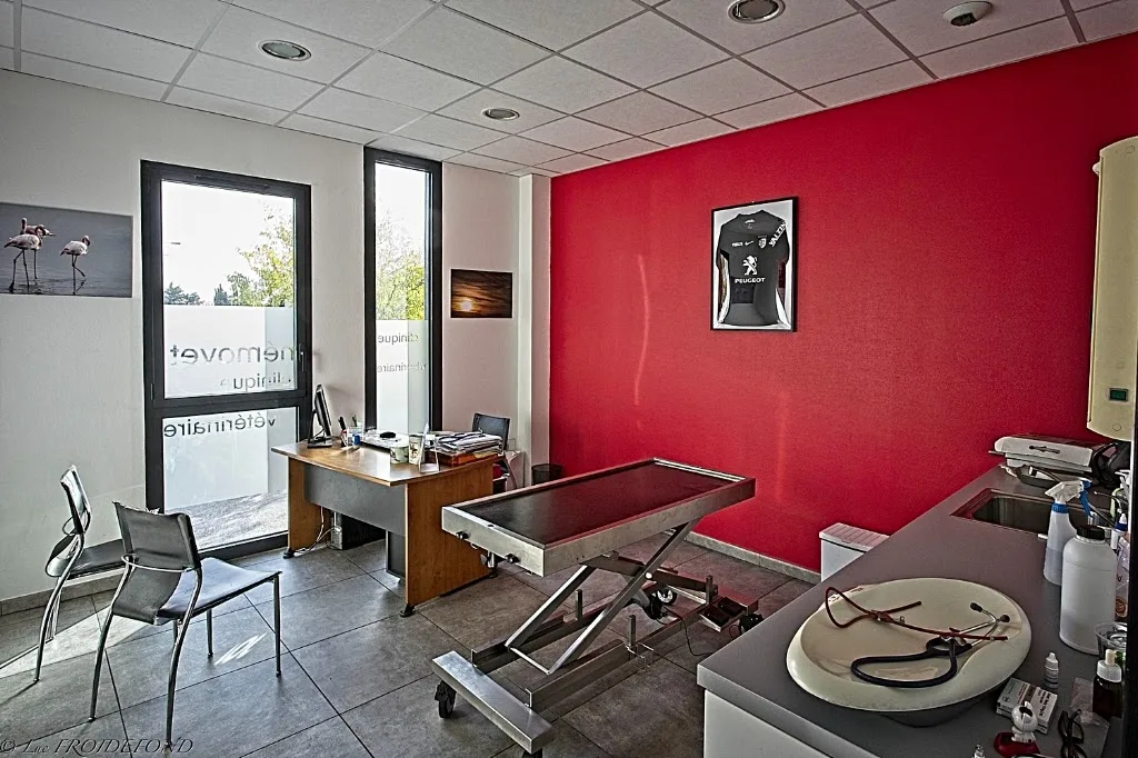 Clinique Vétérinaire NEMOVET - photo 1