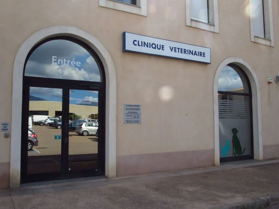 KallisteVet - Clinique vétérinaire des 4 portes - photo 1