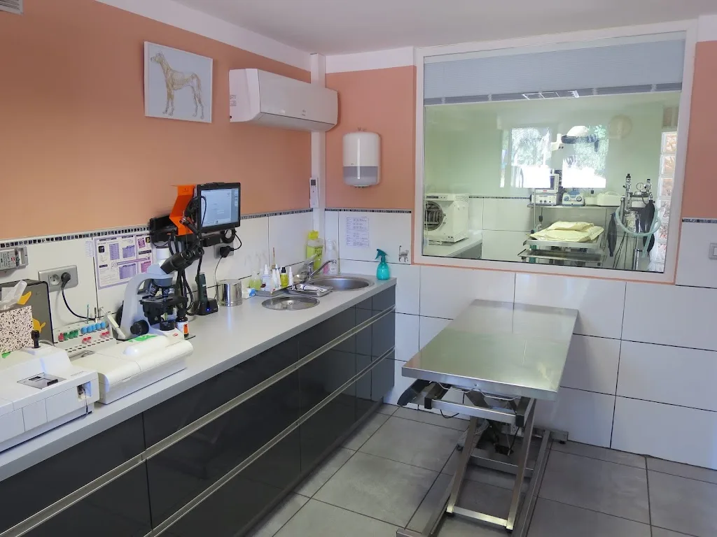 KallisteVet - Clinique vétérinaire des 4 portes - photo 2