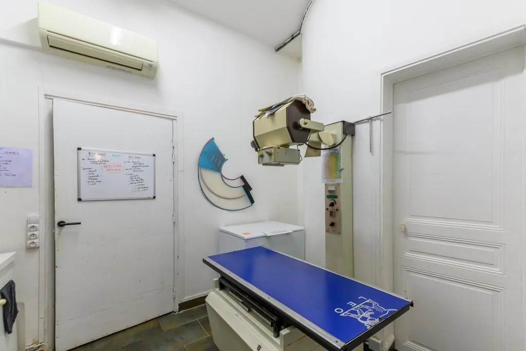 Clinique vétérinaire Rue de Paris - Charenton-le-Pont - Sevetys - photo 1