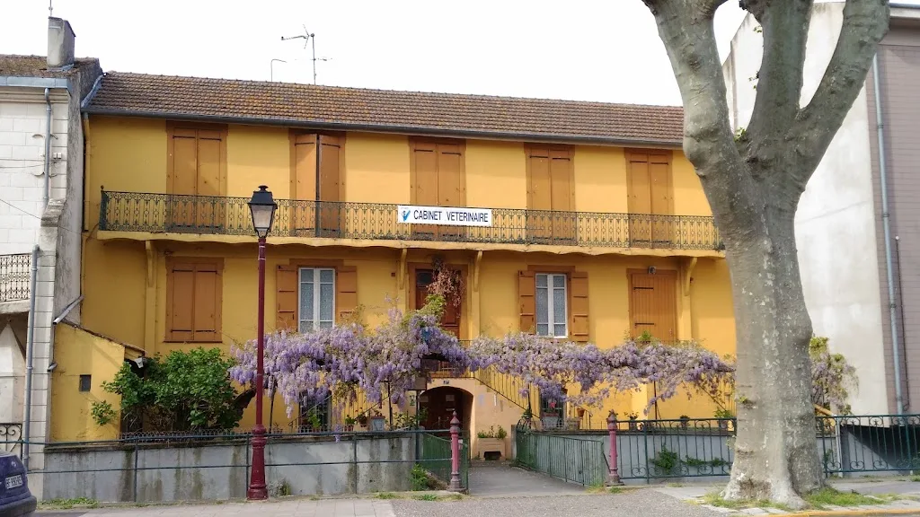 Mas Clinique II - photo 3