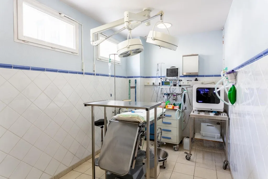 Clinique vétérinaire des Remparts - Pontoise - Sevetys - photo 2