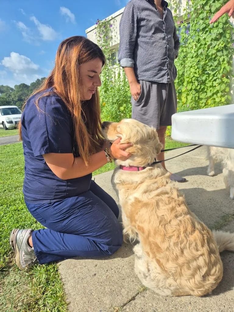 VET-OSTEO-PLUS - photo 3