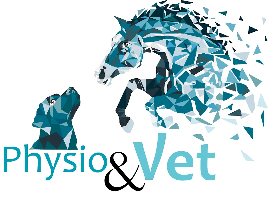Physio&Vet - photo 2