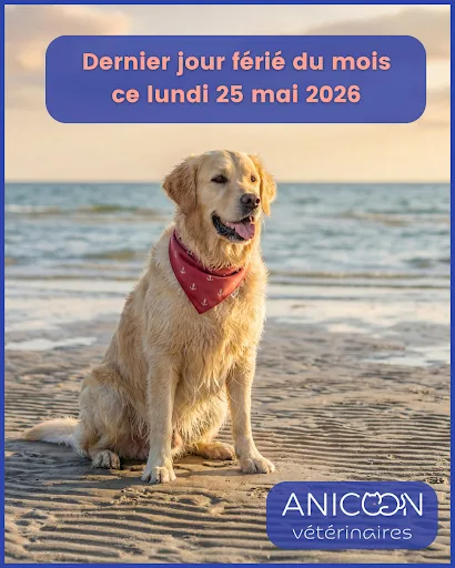 Clinique Vétérinaire Anicoon Ploemeur - photo 1