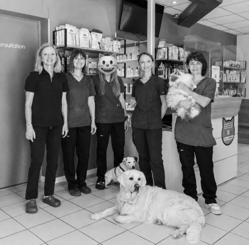 Clinique Vétérinaire Sainte Marguerite - photo 1