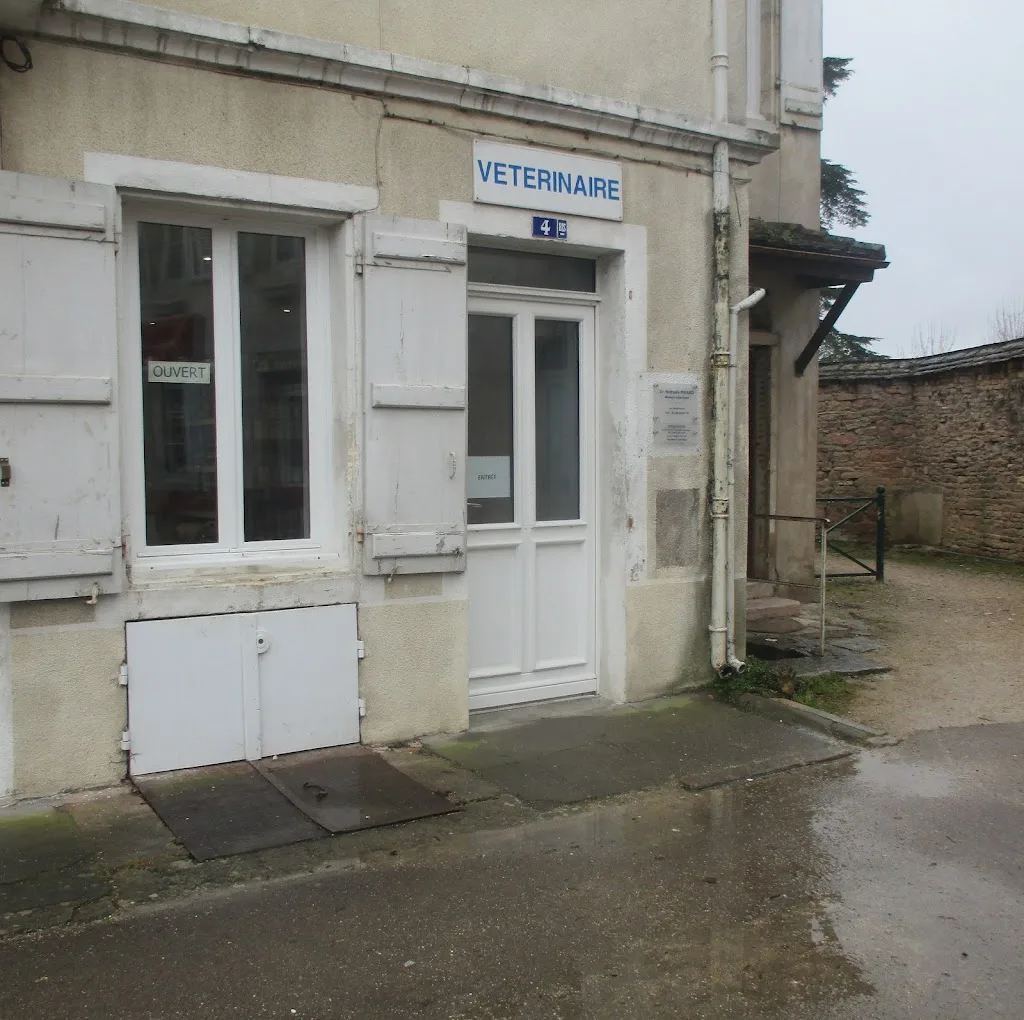 Grosemans Vincent - photo 3