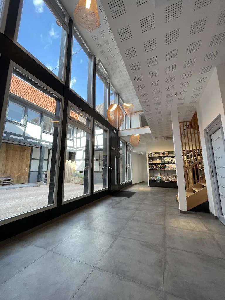 Clinique vétérinaire les Alliées - photo 1