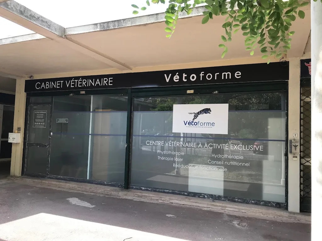 Vetoforme - photo 1