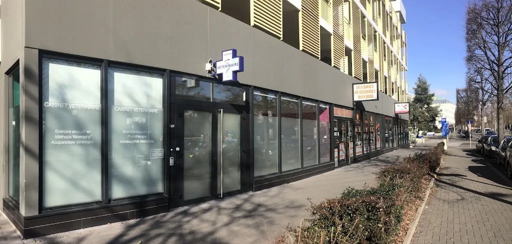 Docteur Azoulay Thierry, vétérinaire spécialiste en ophtalmologie - photo 2