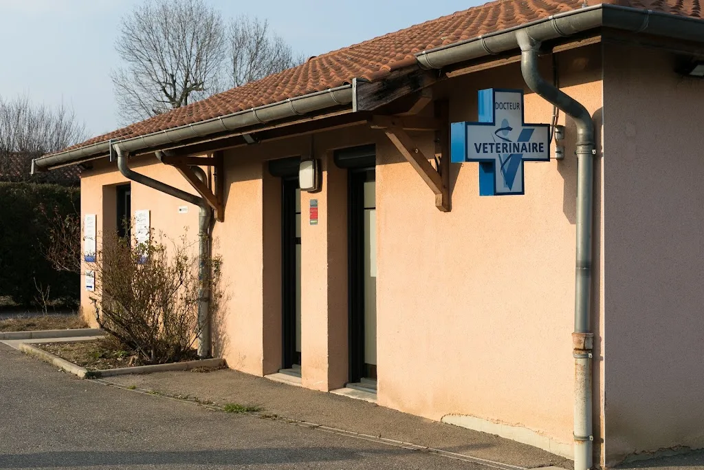 Clinique vétérinaire VET&AL – Brindas - photo 1