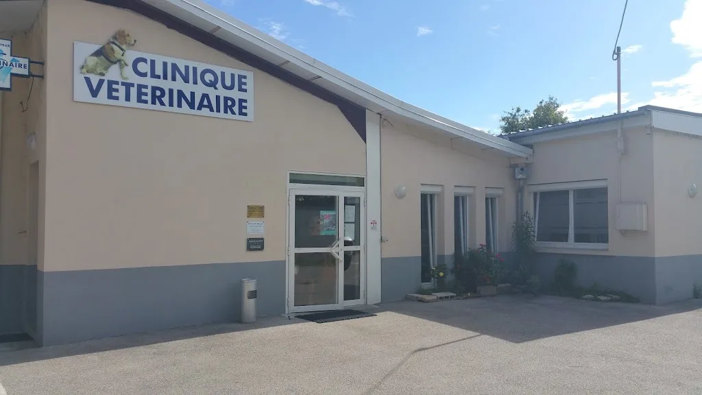 Clinique Vétérinaire Du Chien Assis - photo 1
