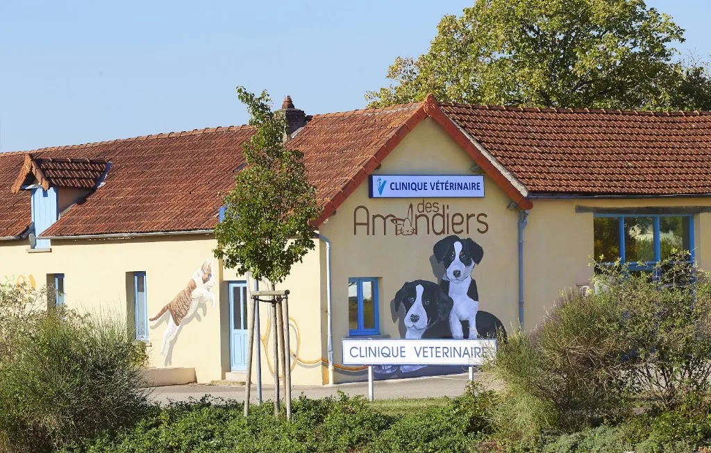 Clinique Vétérinaire des Amandiers - Dr Bréban et Dr Suarez - photo 2