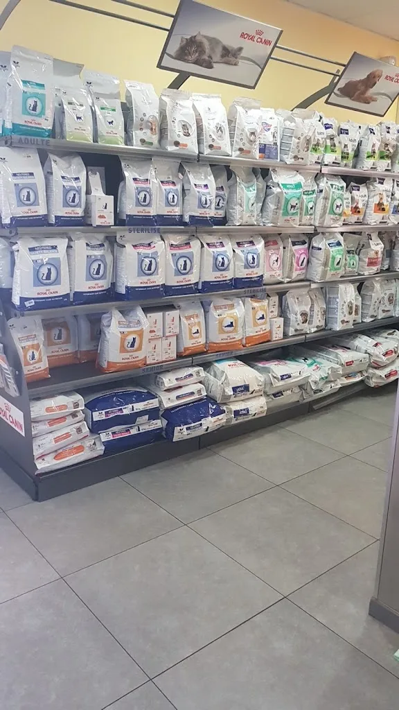 Clinique Vétérinaire Saint-Bernard - photo 2