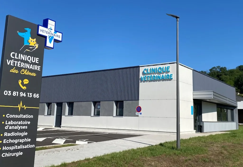 Clinique Vétérinaire Saint-Bernard - photo 3
