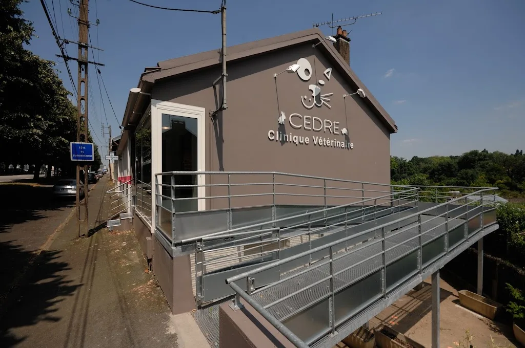 Clinique Vétérinaire du Cèdre - Drs Jégou et Vieilledent - photo 2