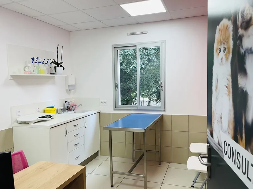 Clinique Vétérinaire VPLUS de Barbezieux - photo 1