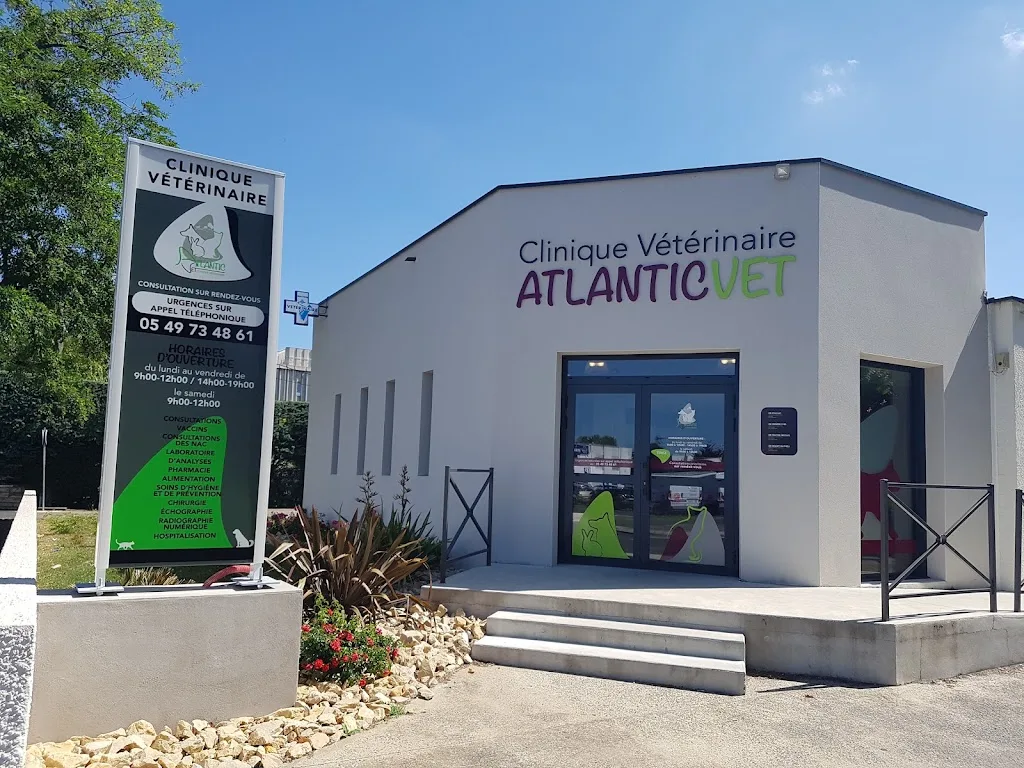 Clinique vétérinaire du Coteau - photo 2