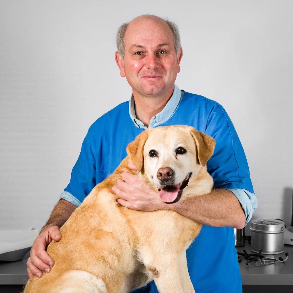 Cabinet Veterinaire Felin - photo 2