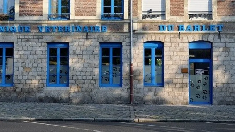 Clinique vétérinaire de Montigny-en-Ostrevent - Sevetys - photo 2