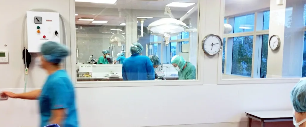 Clinique Michel Baron - photo 2