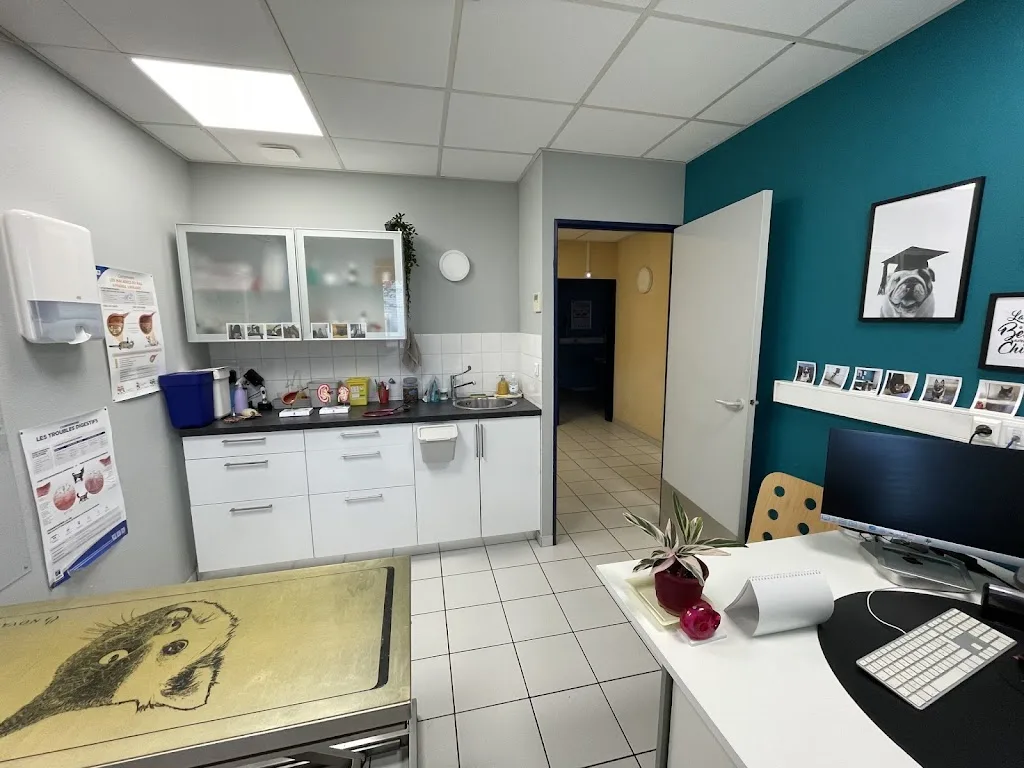Clinique Vétérinaire de la Tuilerie - photo 3