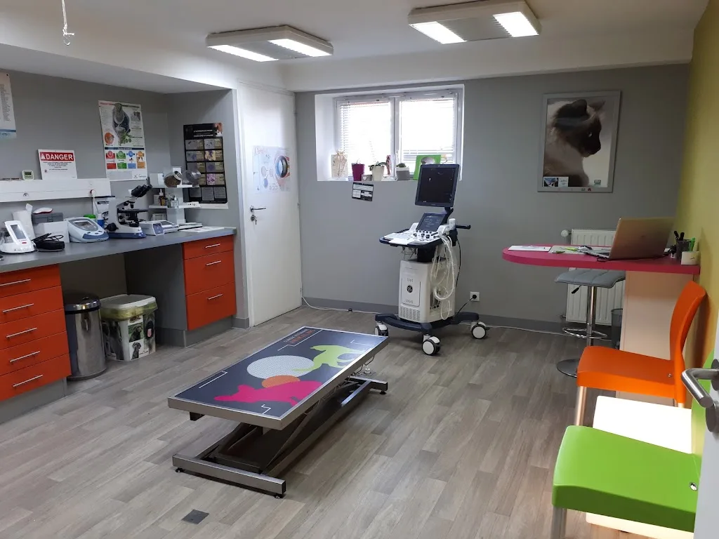 Clinique Vétérinaire Alliance Vet'Bocage - Site des Essarts - photo 2