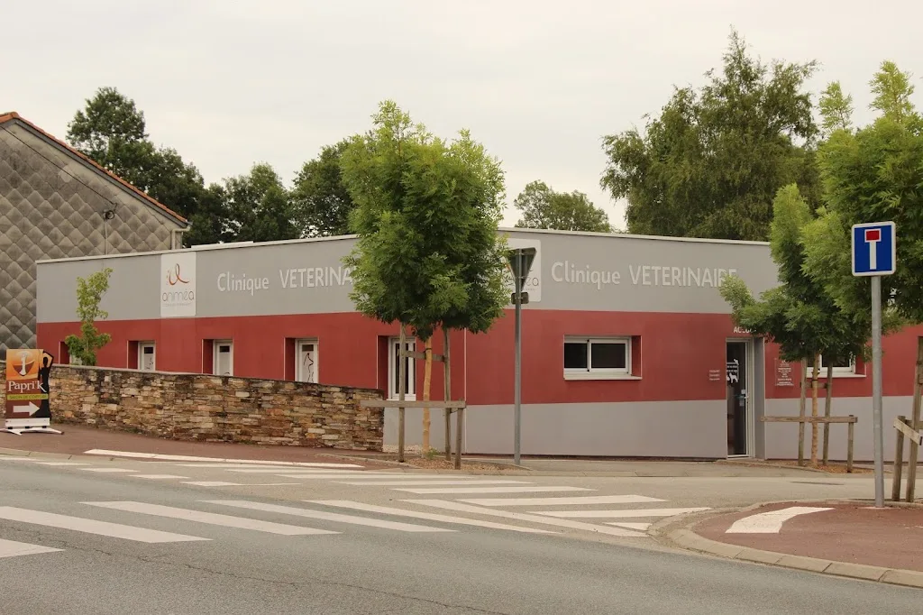 Clinique Vétérinaire Alliance Vet'Bocage - Site des Essarts - photo 3