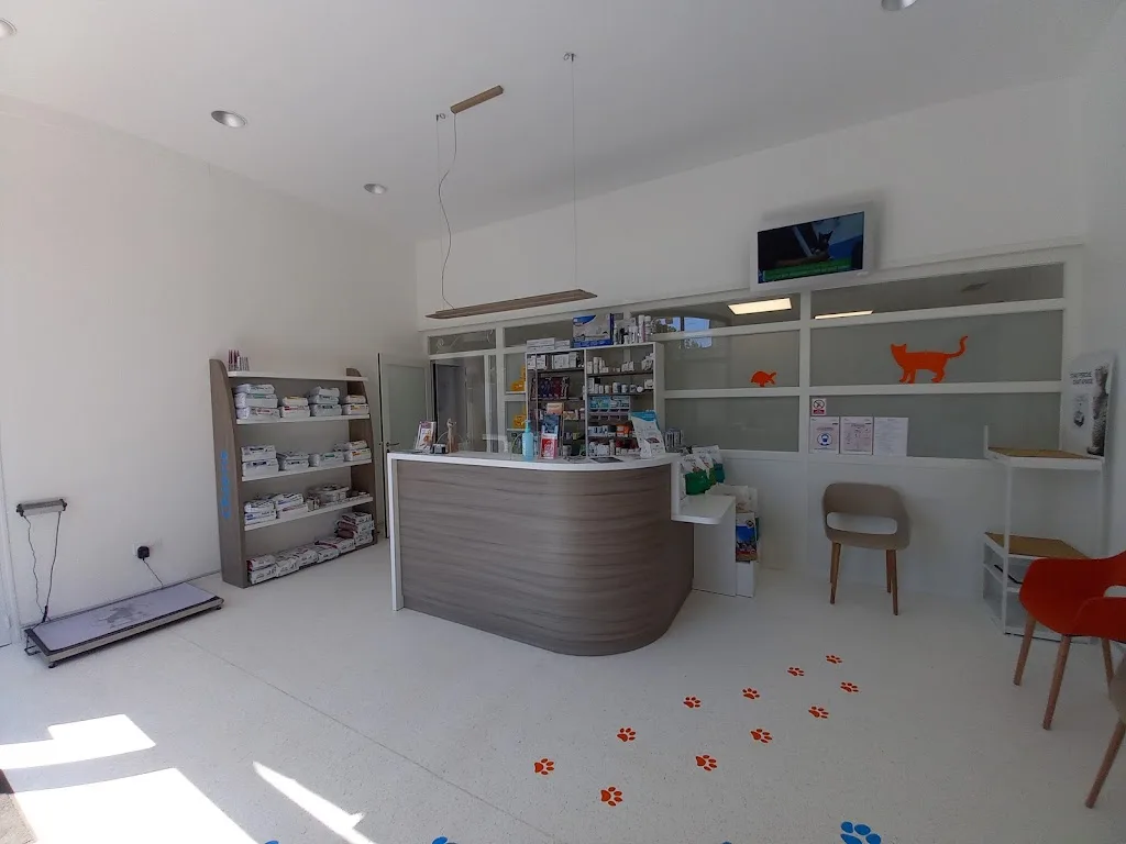 Clinique vétérinaire Dr Georges et Dr Marnot - photo 2