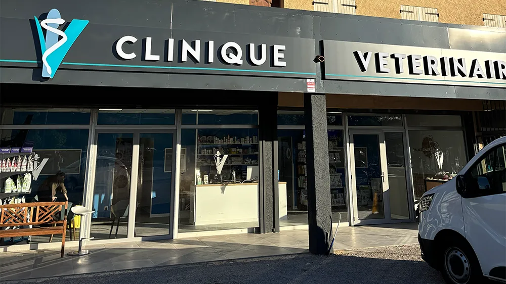 Clinique Vétérinaire Tison - photo 3