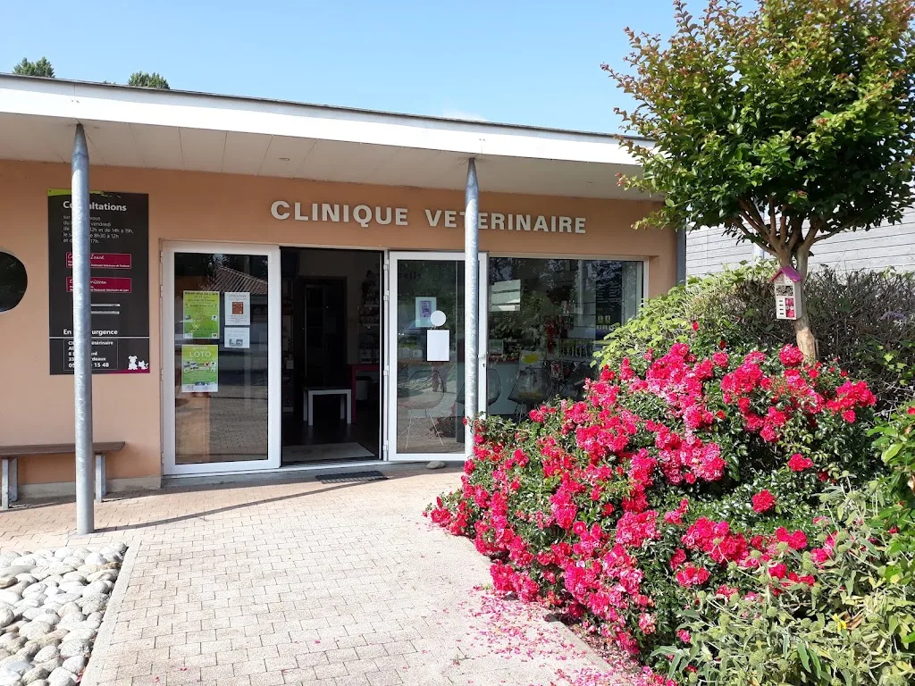 Clinique vétérinaire de l'Illot (SELARLU VETOILLOT) - photo 1