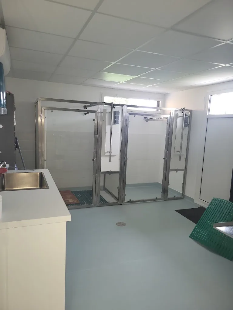 Clinique Vétérinaire Bon Secours - photo 2