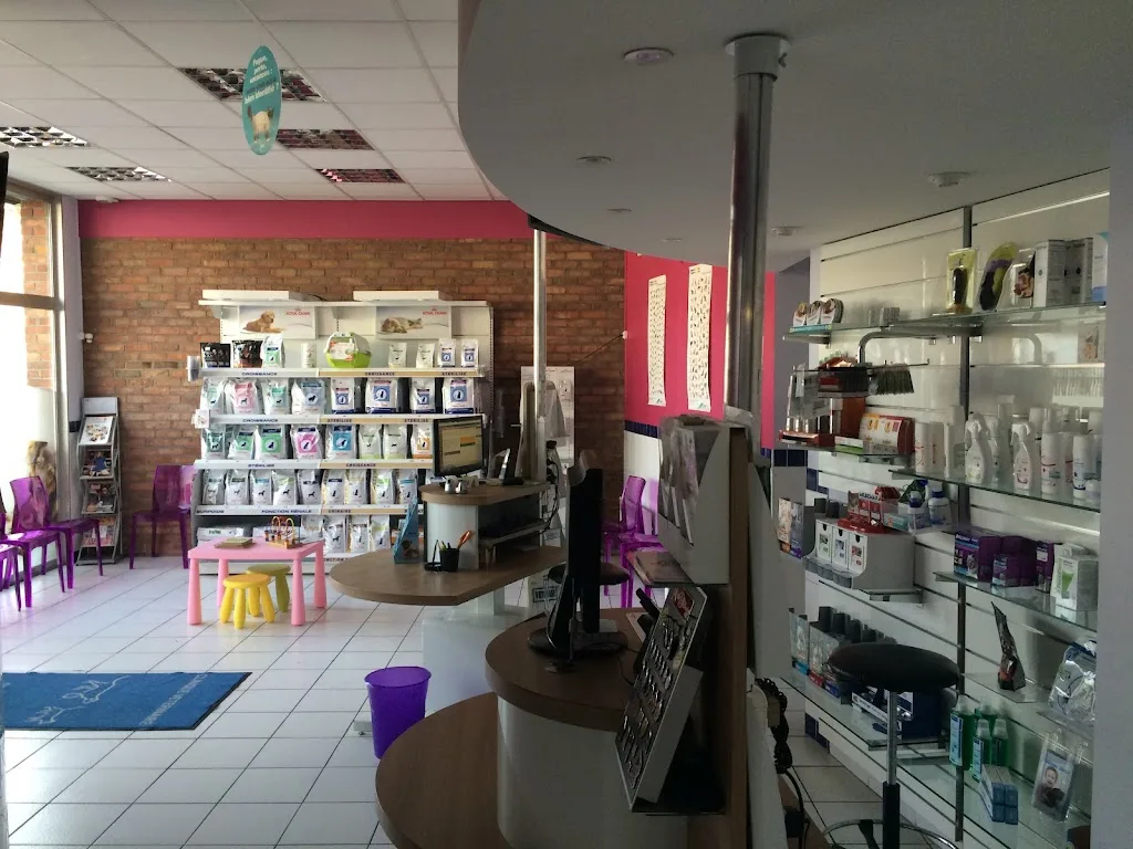 Clinique Vétérinaire Esquermes - photo 1