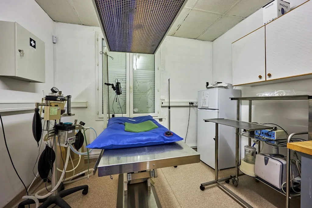 Clinique Vétérinaire Argos Caen Guynemer - photo 3