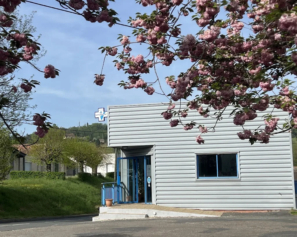 Clinique Veterinaire du Docteur Godié - photo 2