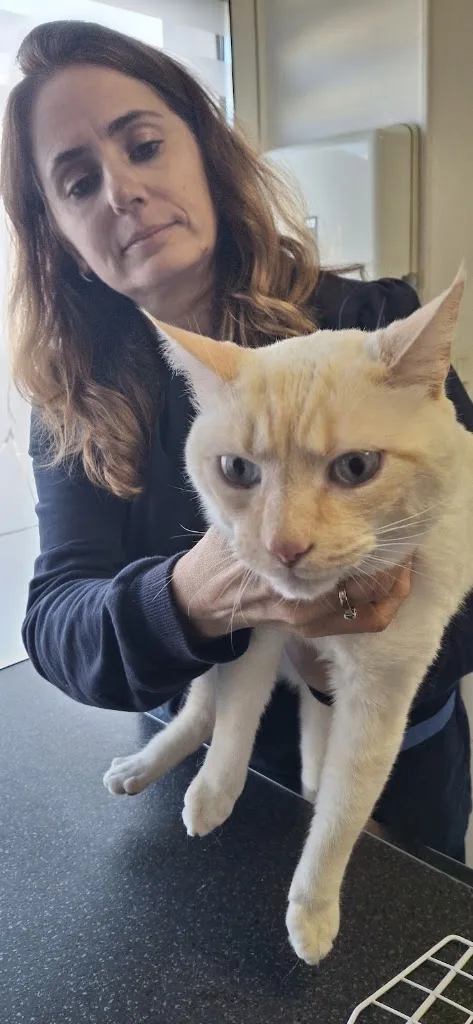 Clinique Vétérinaire Univet Saint-Bonnet-de-Mure - Des Muriers - photo 3