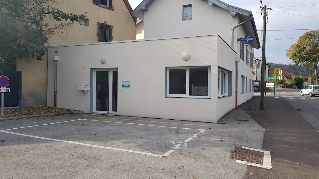 Clinique Veterinaire Du Chien Assis - photo 1