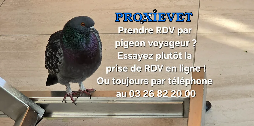 Cabinet vétérinaire PROXIEVET - photo 3