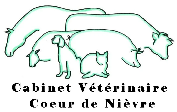 Cabinet Vétérinaire Coeur De Nièvre - photo 1