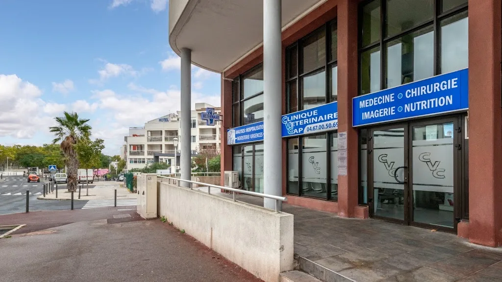 Clinique OC VET 34 - photo 1