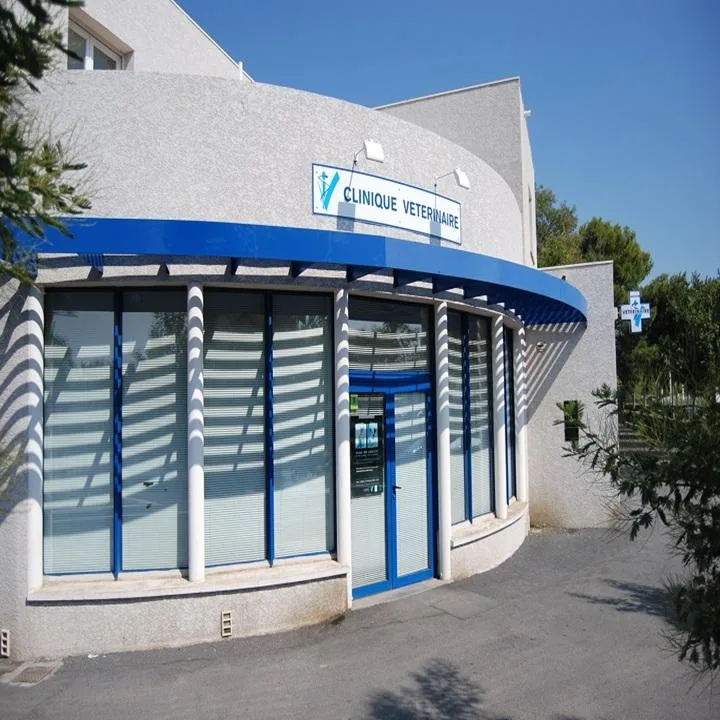 Clinique OC VET 34 - photo 2