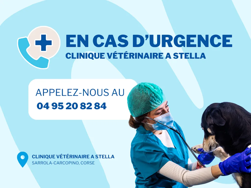 Clinique vétérinaire A Stella Ajaccio - photo 1