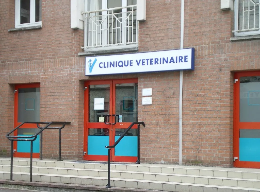Cabinet Vétérinaire - photo 3
