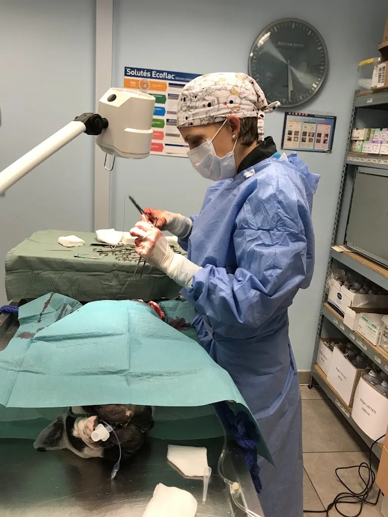 Clinique Veterinaire Du Fresne 6 rue de l'hippodrome - photo 1