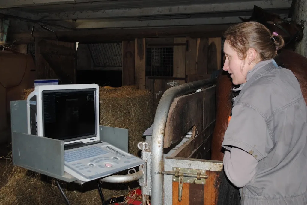Clinique Vétérinaire Equine Valère - photo 2