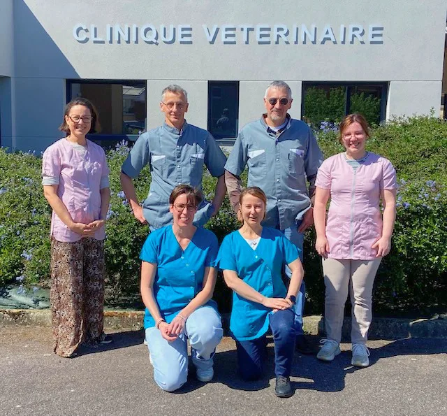 Clinique Vétérinaire Equine Valère - photo 3