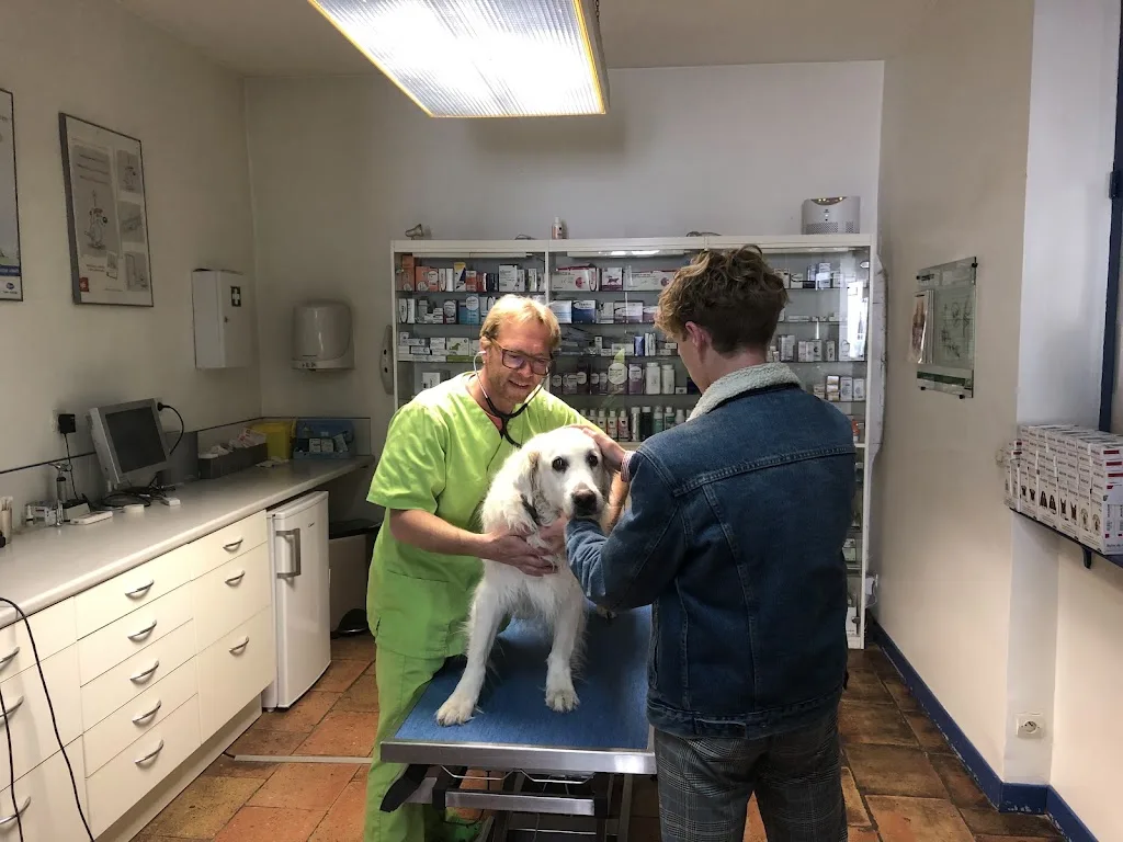 Cabinet Veterinaire - photo 2