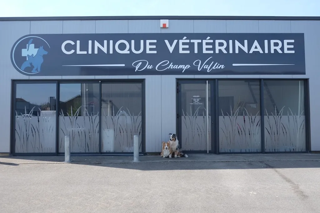 Charton Herve Gilles - photo 2
