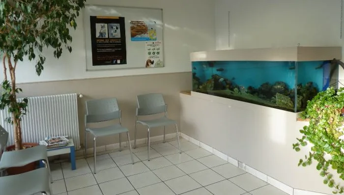 Clinique Veterinaire De L'olivier - photo 2